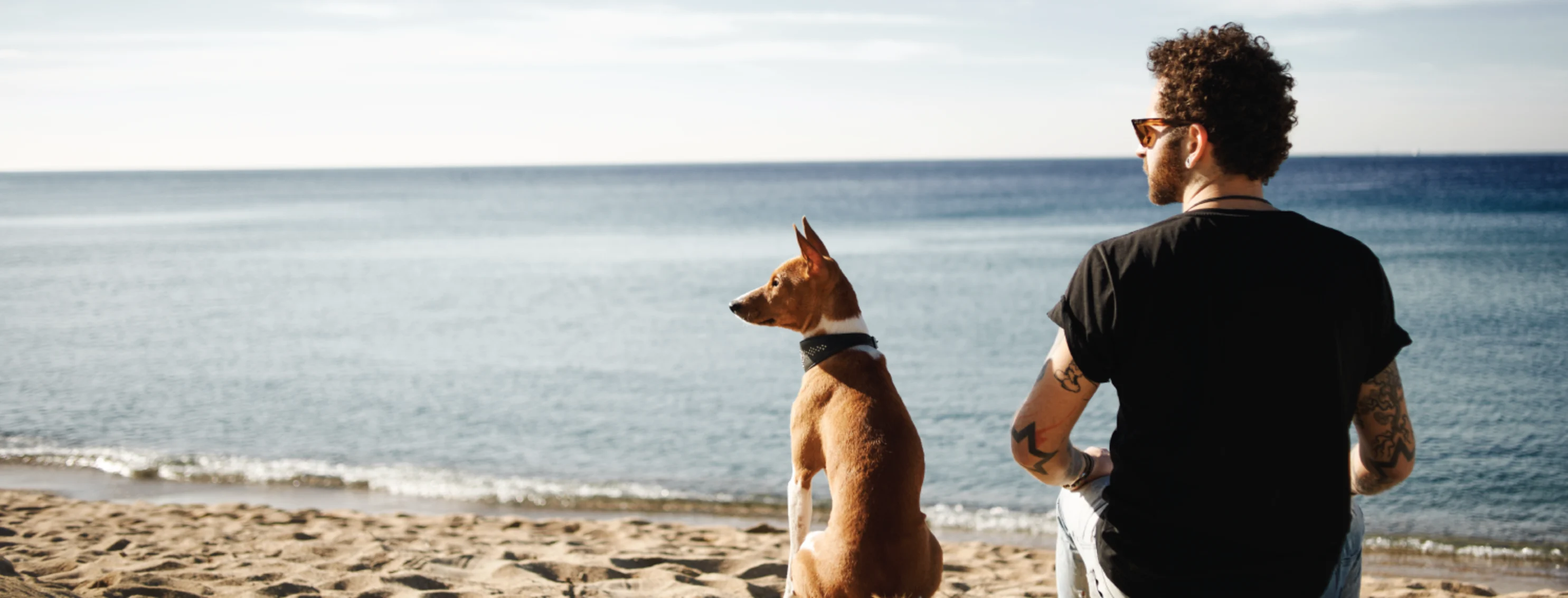 Dog and Man Sitting in the Sand